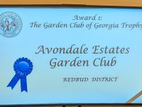2023 CGC Convention