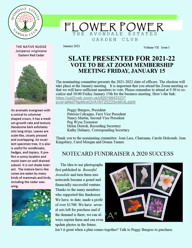 aegc january news