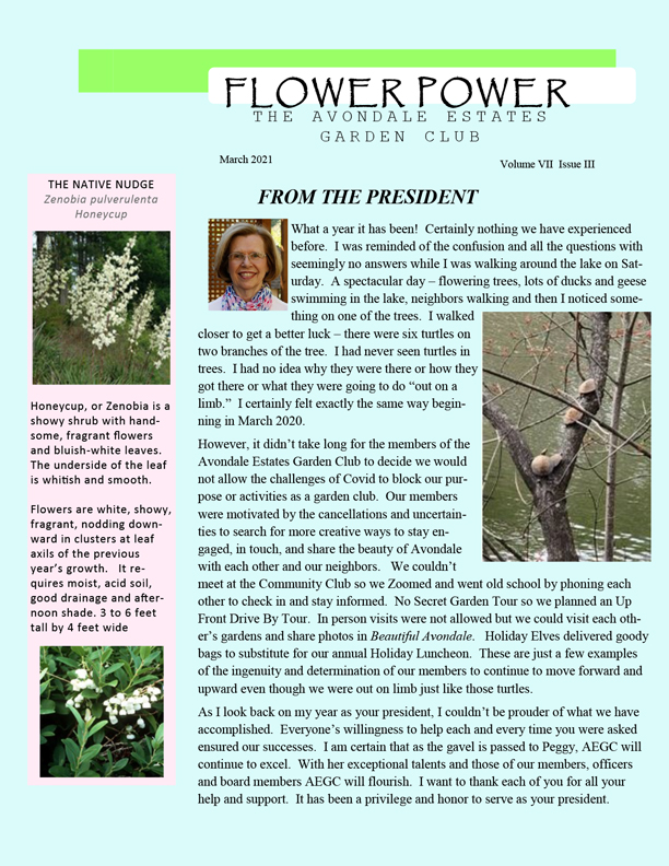 aegc march 2021 news