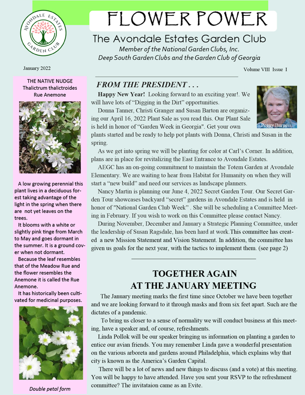 newsletter 01 22